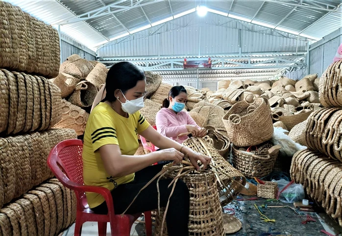 cây bông giấy